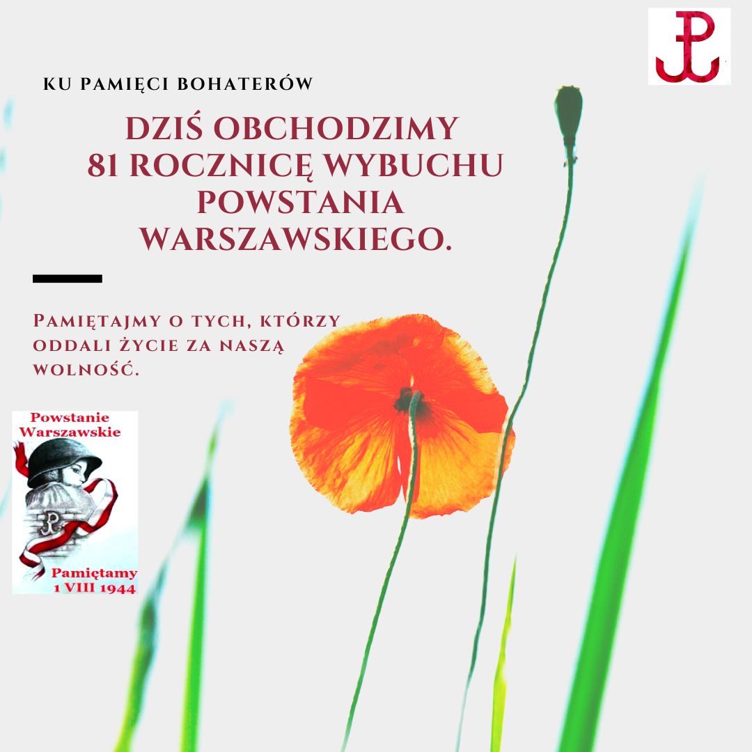 Czerwony_Biały_Mak_Kwiat_Powstanie_Warszawskie_Instagram